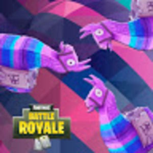 Meet your Posher, Ashlyn